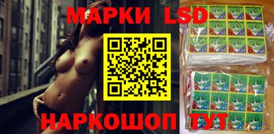 Альфа ПВП Краснознаменск