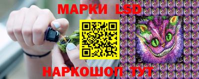 Альфа ПВП Краснознаменск