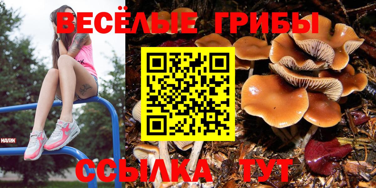 Псилоцибиновые грибы MAGIC MUSHROOMS  Галлюциногенные грибы мицелий  Вход с VPN  Владивосток 